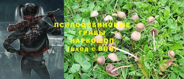 гидра Алзамай